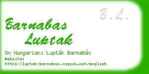 barnabas luptak business card