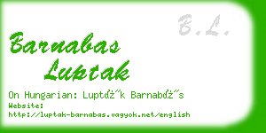 barnabas luptak business card